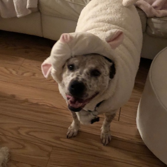 Meet your Posh Ambassador, Michaelina - Picture 4 of 11